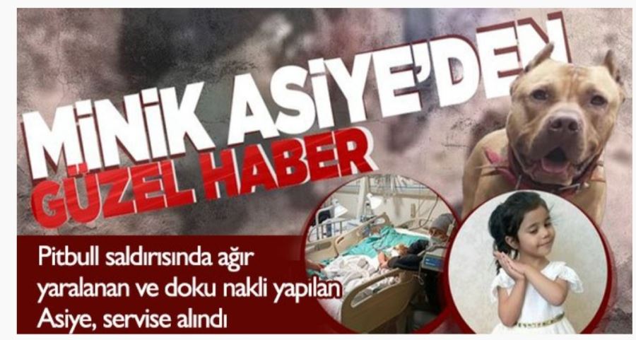 Gaziantep Son Dakika Pitbull saldırısında ağır yaralanan ve doku nakli yapılan Asiye, servise alındı
