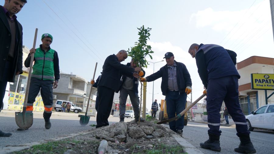 Adıyaman İlkbahar’a Hazırlanıyor