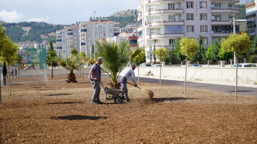 Kent Park Yeşillendiriliyor