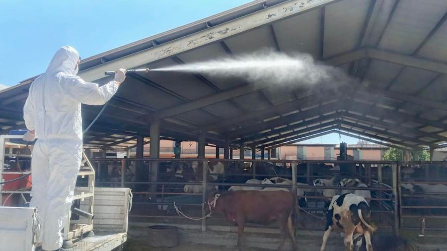 Kurban Bayramı Öncesi İlaçlama Çalışmalarına Hız Verildi