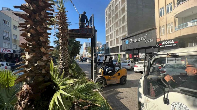Kahta Belediyesi ağaç budama çalışmalarına başladı 