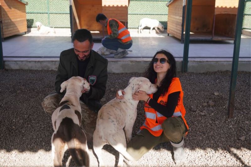 Paw Guards üyelerinden Diyarbakır