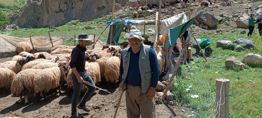 Hakkari’de zorlu yayla göçü başladı