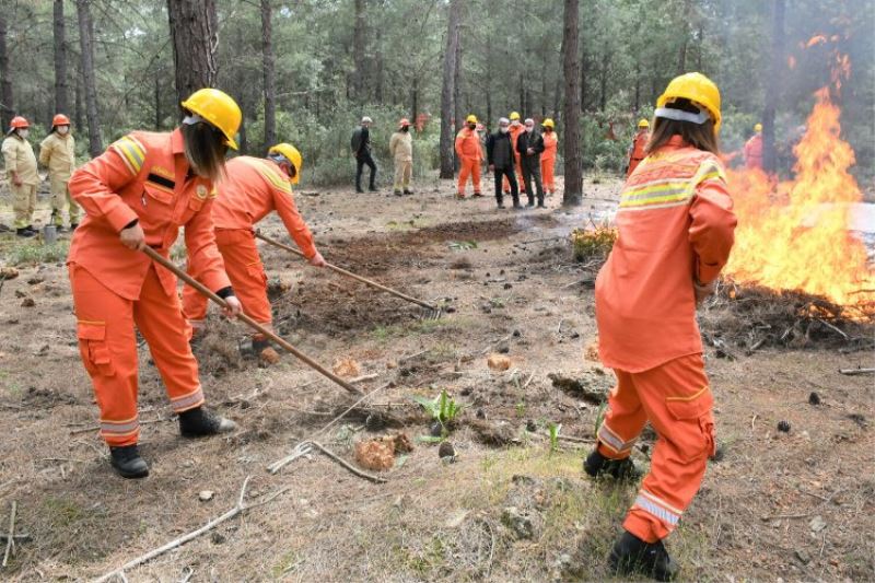 Orman yangınları yüzde 90 insan kaynaklı!