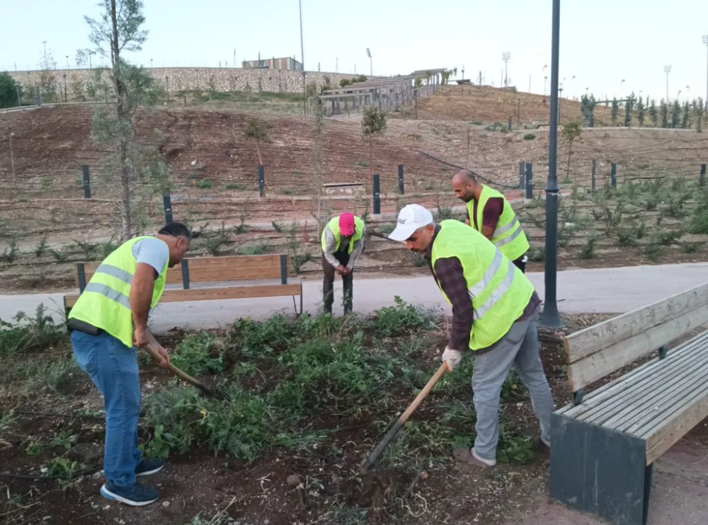 Kent Merkezinde Çevre Düzenleme Çalışmaları Devam Ediyor