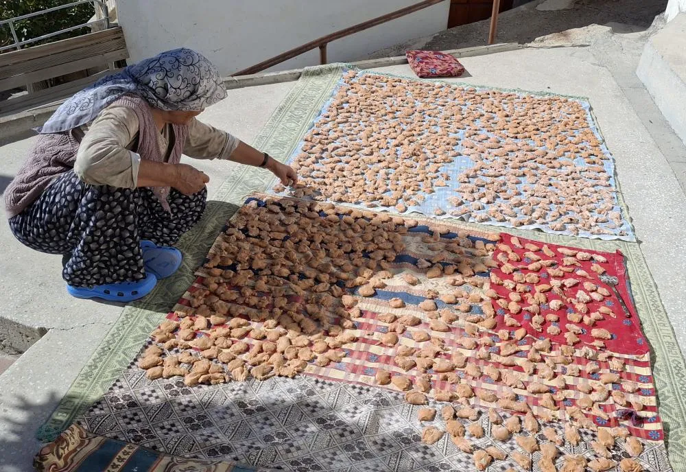 Beypazarı Kadınlarının Geleneksel Kış Hazırlıkları: Tarhana ve Salça