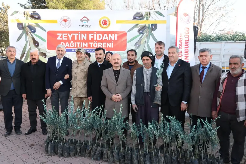 Çiftçilere 62.500 Adet Zeytin Fidanı dağıtıldı 