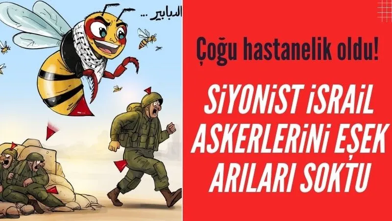 İşgalci İsrail askerlerini eşek arıları soktu