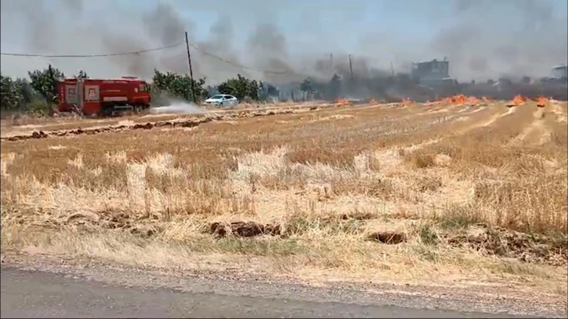 Bozhöyük Köyü’nde çıkan yangın korkuttu  - Videolu Haber