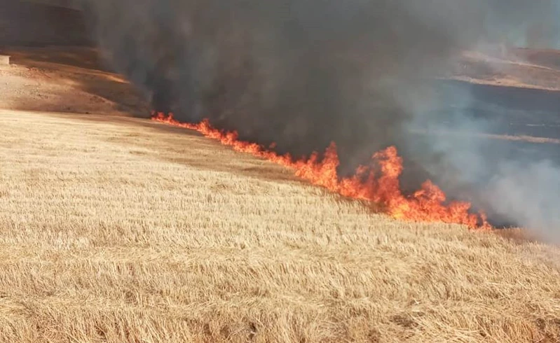 Anız yangınında 2 bin dönüm tarım arazisi zarar gördü  - Videolu Haber