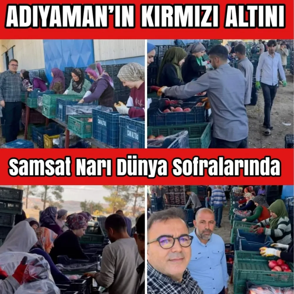 Samsat Narı Türkiye’nin ve Dünyanın Gözdesi Oldu!