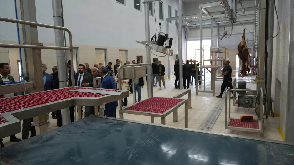 Başkan Tutdere’nin vizyon projelerinden modern kesimhanede ilk kesim gerçekleşti