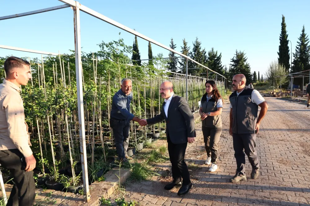 Vali Dr. Osman Varol, Hasancık Orman Fidanlığı’nda İncelemelerde Bulundu