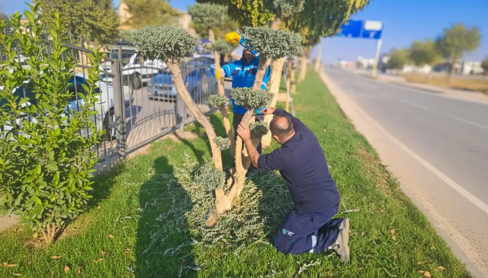Adıyaman Belediyesi’nden yeşil alanlarda bakım ve düzenleme çalışması
