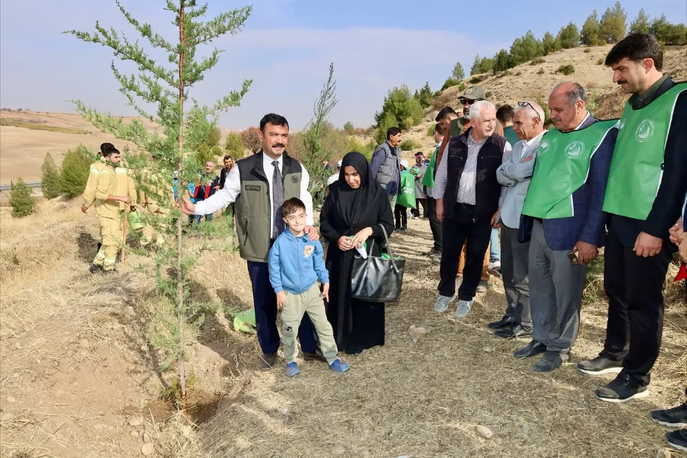 Kâhta’da 11 Kasım Milli Ağaçlandırma Günü’nde Fidanlar Toprakla Buluştu