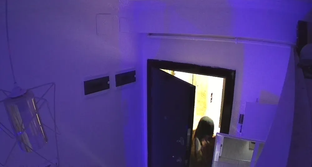 Adıyaman’da Kameraya Rağmen Daireyi Soydular