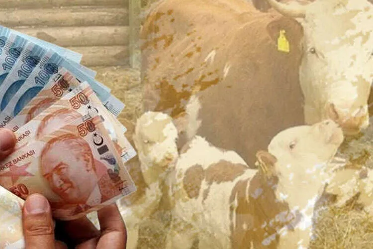 1,46 milyar TL tarımsal destek hesaplarda