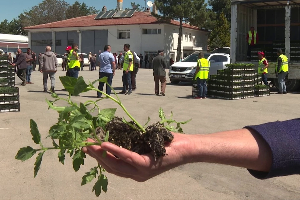 Ankara Büyükşehir