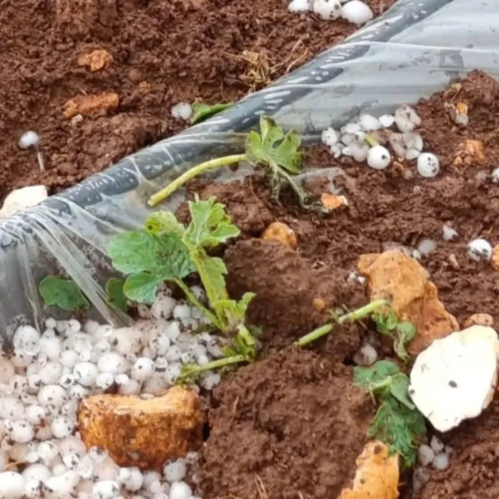 Adıyaman’da Dolu Yağışı Tarım Arazilerine Zarar Verdi