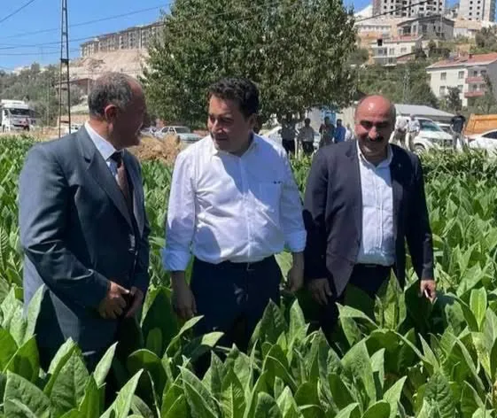 DEVA Partisi’nden Sert Tütün Tepkisi: “Kendi Toprağımızda Emperyalizme Irgatlık Yapıyoruz”