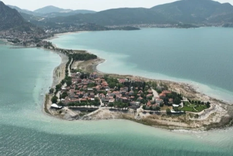 Tarım ve Orman