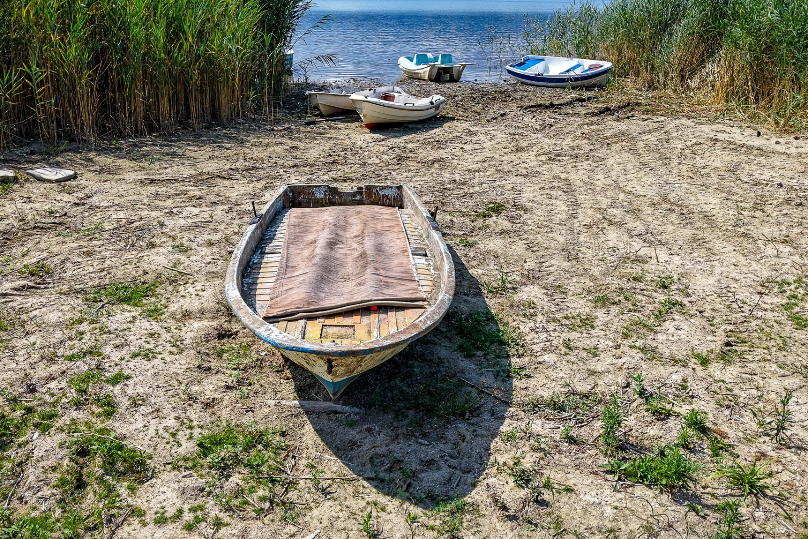 Sapanca Gölü için kritik çalıştay tamamlandı