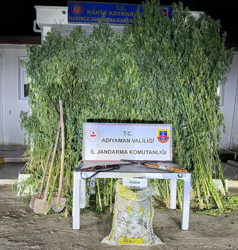 Kahta’da Uyuşturucu Operasyonu: 295 Kök Kenevir Ele Geçirildi
