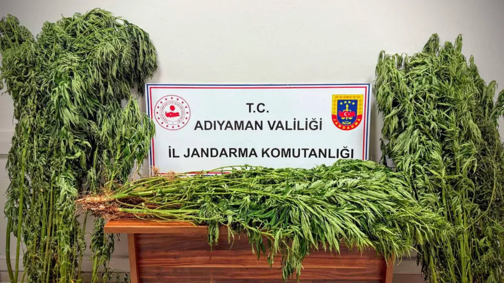 Adıyaman’da Uyuşturucu Operasyonu: 9 Gözaltı, 2 Tutuklama