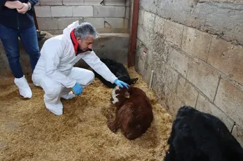 “Kırsalda Bereket” Doyran’da Sonuç Verdi